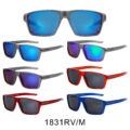 1831RV/M - Image 13