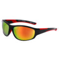 8431RV - Image 6