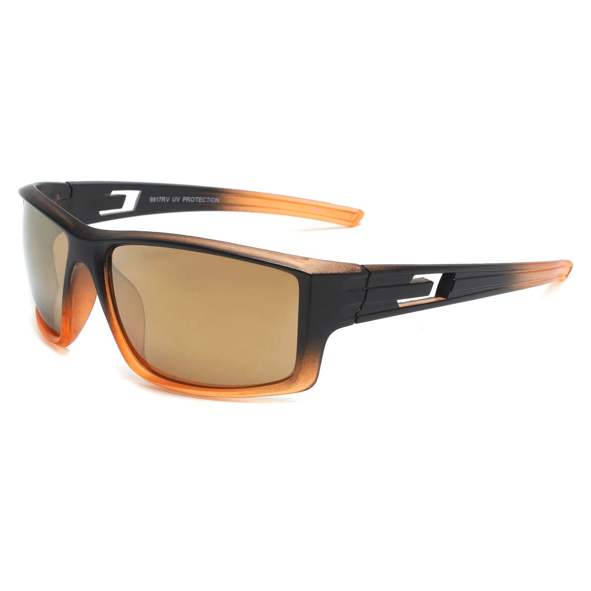 9817RV - Image 6